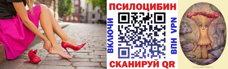 Псилоцибиновые грибы Magic Shrooms  Андреаполь 